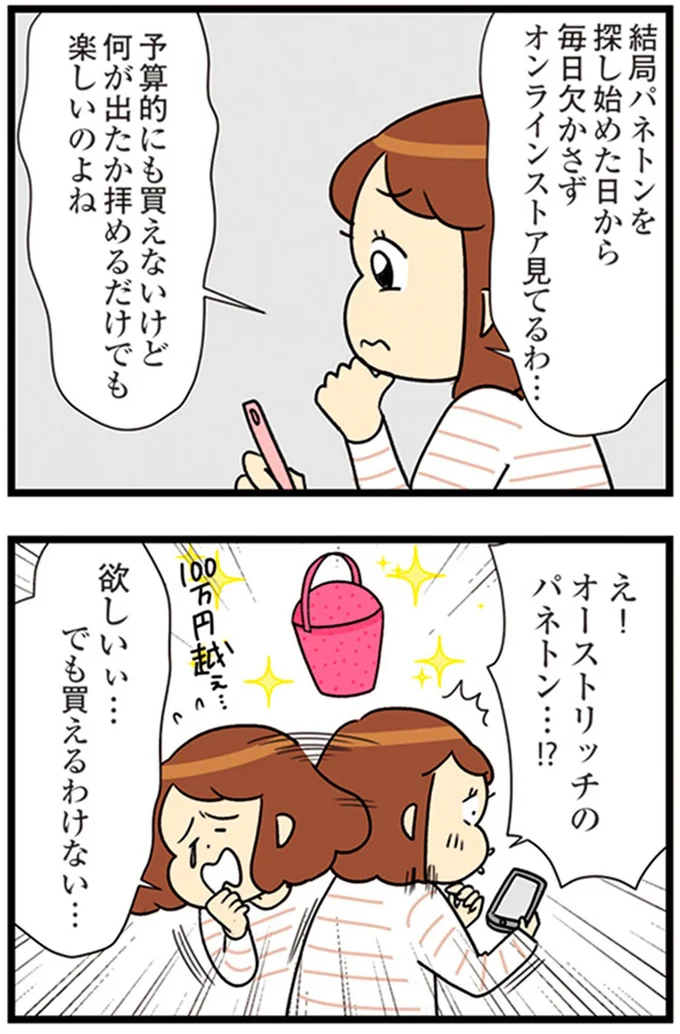 『150万のバッグが欲しい主婦の 夫に内緒の買い物日記』より