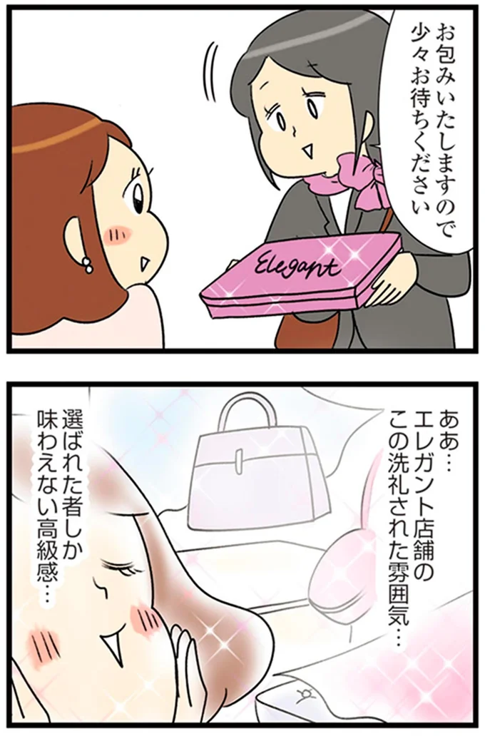 『150万のバッグが欲しい主婦の 夫に内緒の買い物日記』より