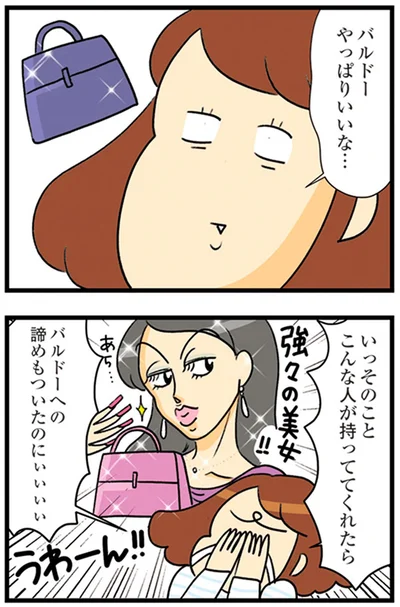 『150万のバッグが欲しい主婦の 夫に内緒の買い物日記』より