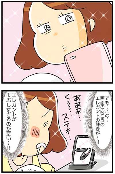 『150万のバッグが欲しい主婦の 夫に内緒の買い物日記』より
