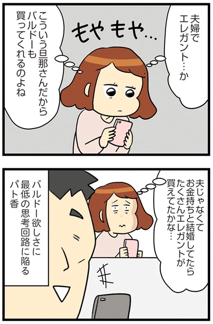 『150万のバッグが欲しい主婦の 夫に内緒の買い物日記』より