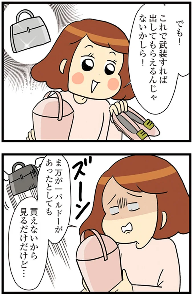 『150万のバッグが欲しい主婦の 夫に内緒の買い物日記』より