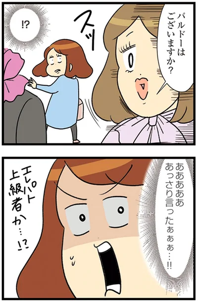 『150万のバッグが欲しい主婦の 夫に内緒の買い物日記』より