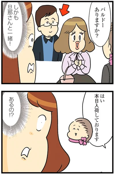 『150万のバッグが欲しい主婦の 夫に内緒の買い物日記』より