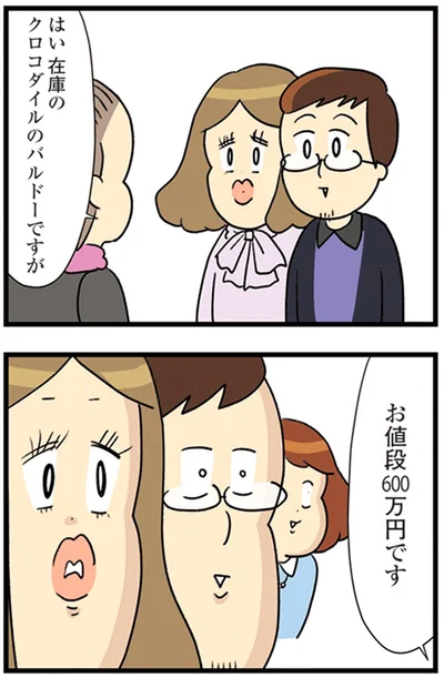 『150万のバッグが欲しい主婦の 夫に内緒の買い物日記』より
