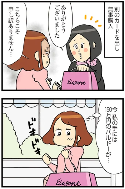 『150万のバッグが欲しい主婦の 夫に内緒の買い物日記』より
