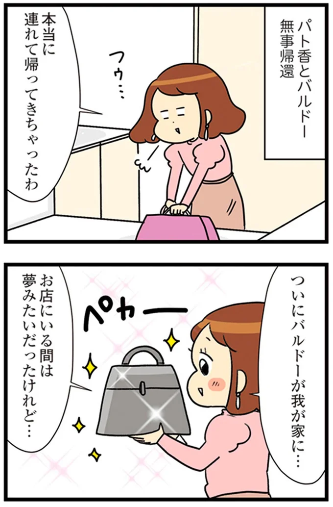 『150万のバッグが欲しい主婦の 夫に内緒の買い物日記』より