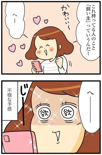 へーーー