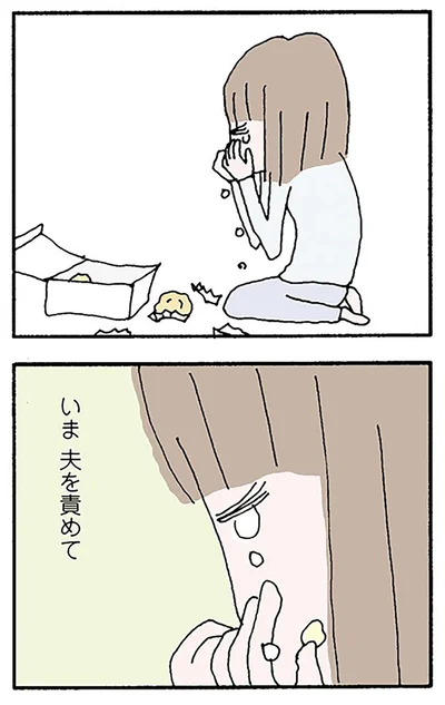 『離婚してもいいですか？ 翔子の場合』より