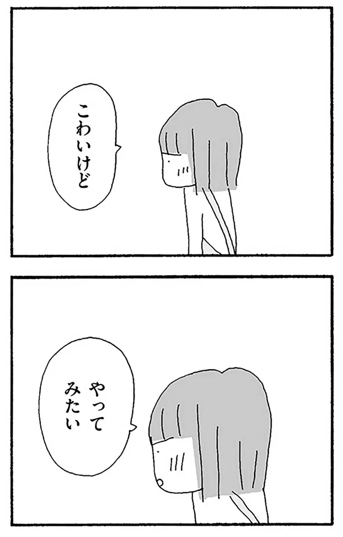 やってみたい