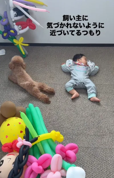 腹ばいになりながら前進する▶赤ちゃんが気になり…（⇒次へ）