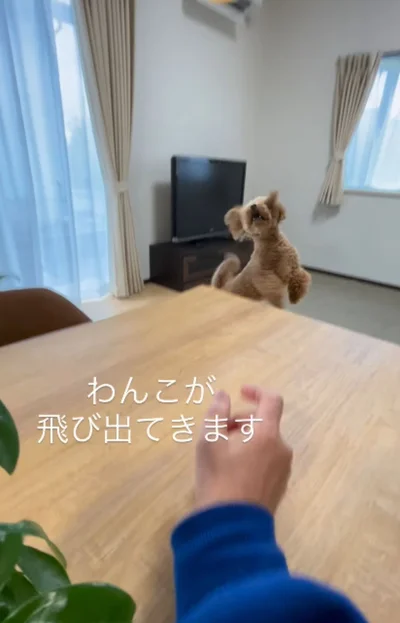 テーブルの下から勢いよく出てきてジャンプ！▶落ちてくる風船を…（⇒次へ）