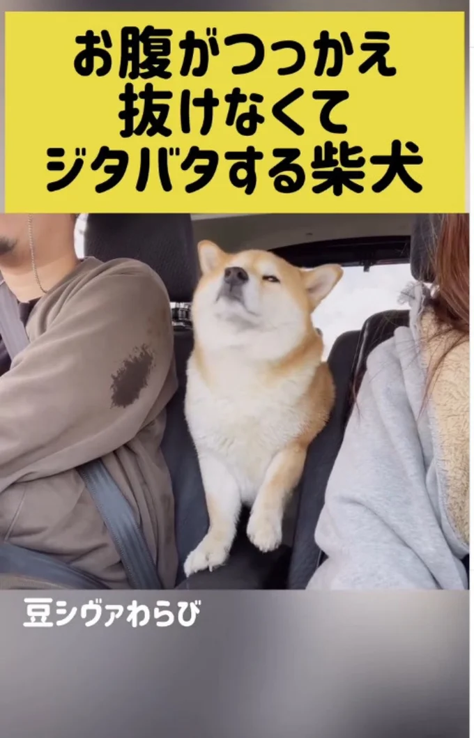 上半身を引き抜く▶体を後ろに引いてみるが…(⇒次へ)