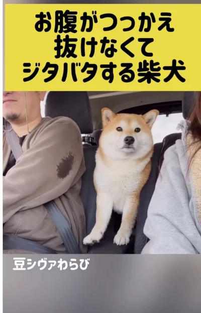 急にカメラ目線▶カメラを気にしつつも…（⇒次へ）