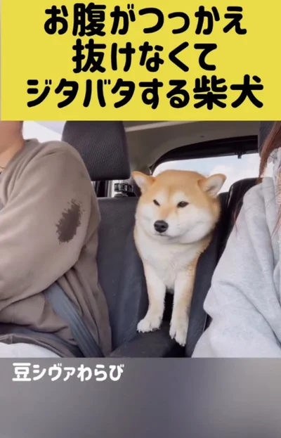 なんとか体を引き抜こうとする▶ようやく…（⇒次へ）