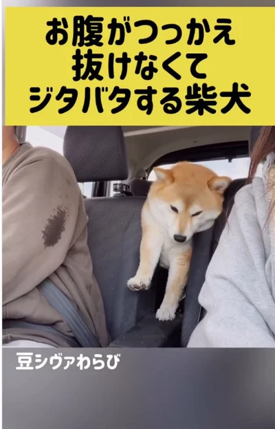 左肩が抜けた！▶そのまま…（⇒次へ）