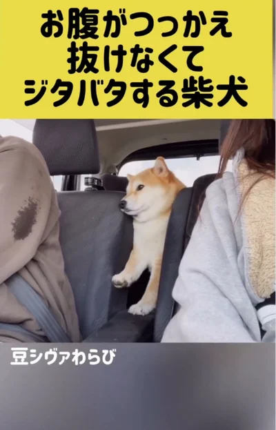 上半身を引き抜くことに成功！▶病院は苦手…（⇒次へ）