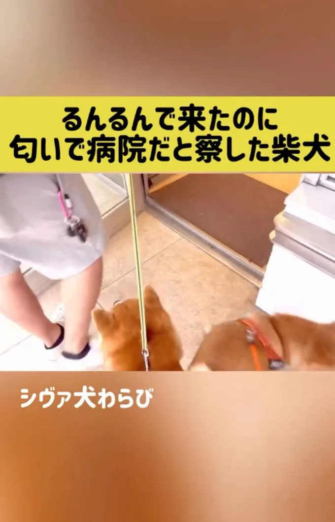 くるりと向きを変えた▶そのまま…(⇒次へ)