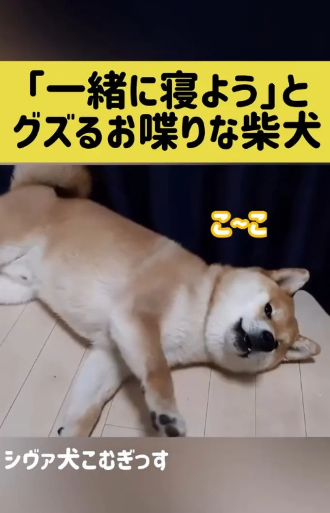 床の上に転がる▶希望が叶わず…(⇒次へ)