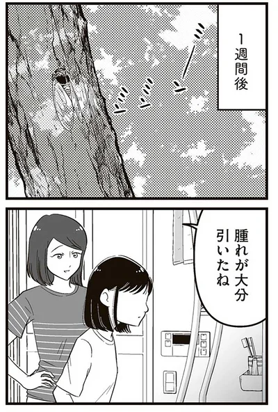 『娘に整形したいと言われたら』より