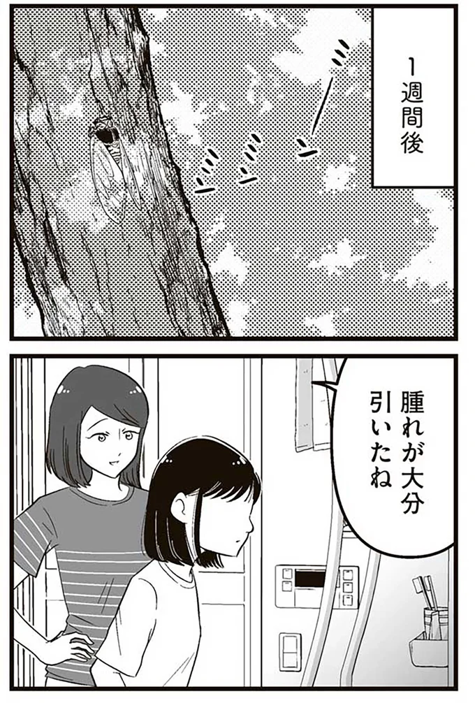 『娘に整形したいと言われたら』より