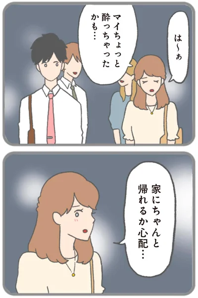 ちょっと酔っちゃったかも…
