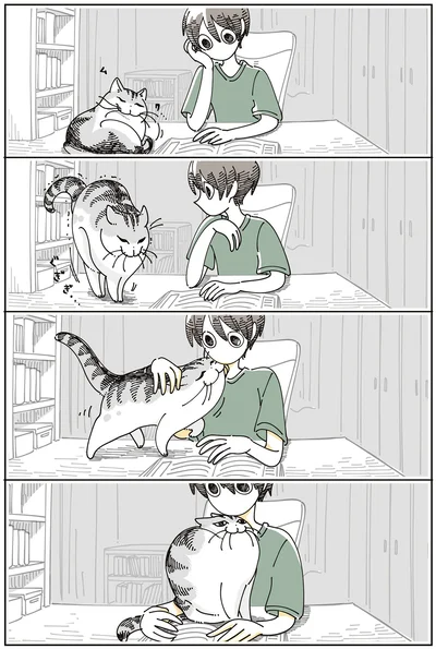 入り込んでくる猫