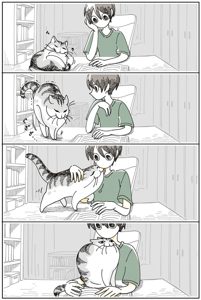 入り込んでくる猫