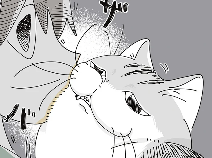 毛が邪魔ー！ 飼い主とネコの仲良しスキンシップ、互いの不満は一致していて