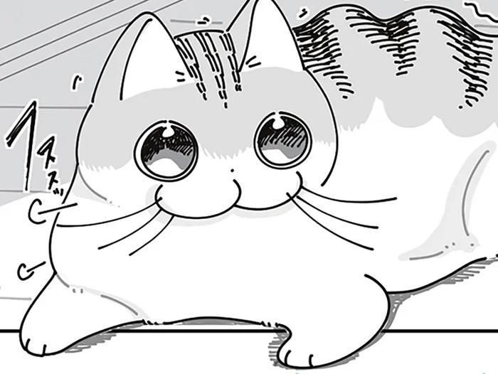 テンションMAXで遊んだあとも目が爛々。しかし再びの猫じゃらしがお気に召さない？