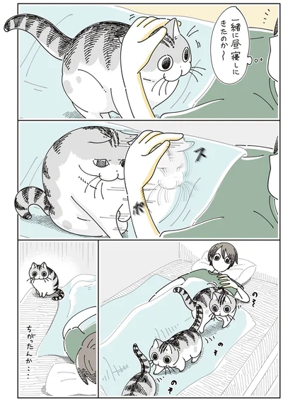 ちがったんか…