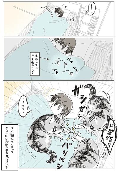 ちょっと目が覚める