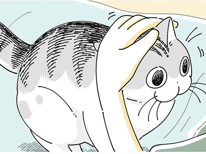 「一緒に昼寝しに来たのか」ベッドへ上がる飼い主のもとへ来るネコの目的は
