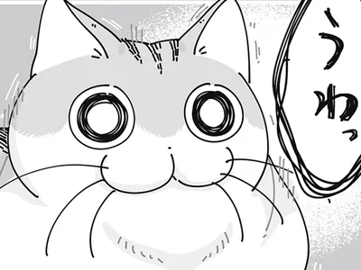 ネコの反応