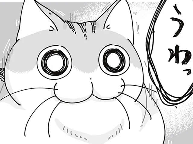 本当になんでもないよ！ のんびり中に飼い主が「うわっ」としたときのネコの反応