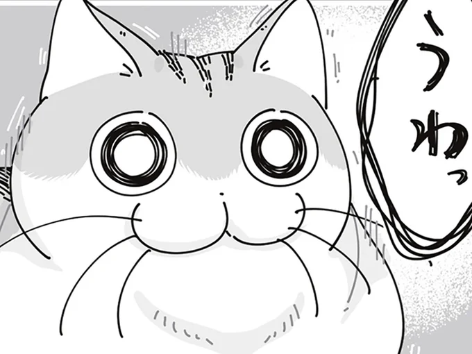 ネコの反応