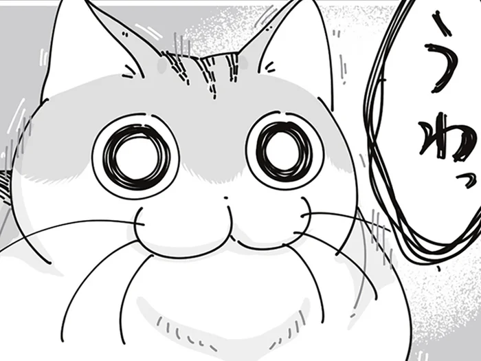 本当になんでもないよ！ のんびり中に飼い主が「うわっ」としたときのネコの反応