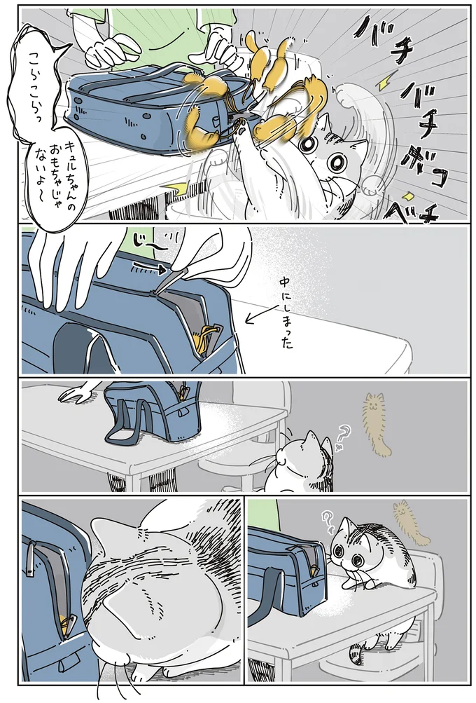 中にしまうと