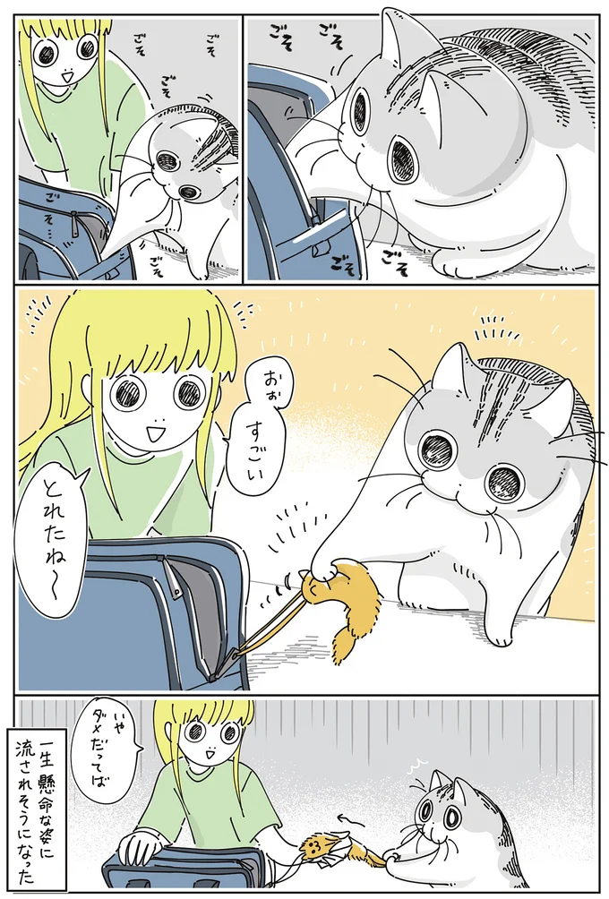 一生懸命な姿に流されそうになった