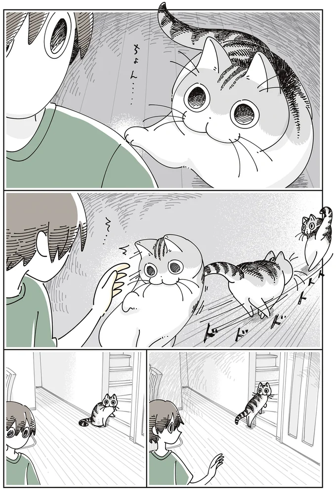 ちょん…