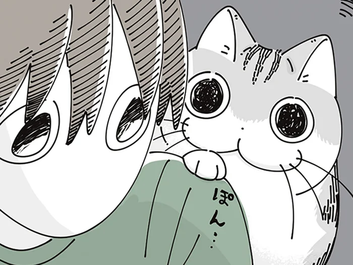 突然の肩ポン、そわそわうろうろ。2階についてきてほしそうなネコ