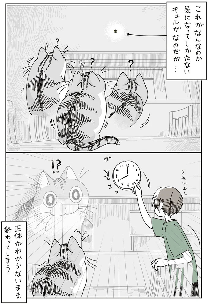 正体がわからないまま