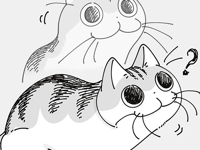 時計の裏が気になって仕方がないネコ。壁掛けフックの正体を知りたそうにしているけれど