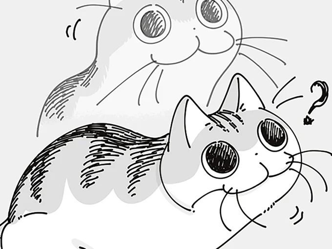 あれはなに?