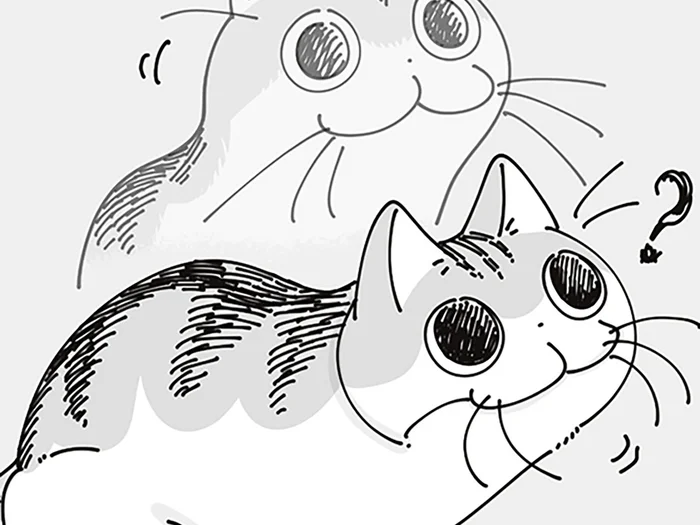 時計の裏が気になって仕方がないネコ。壁掛けフックの正体を知りたそうにしているけれど