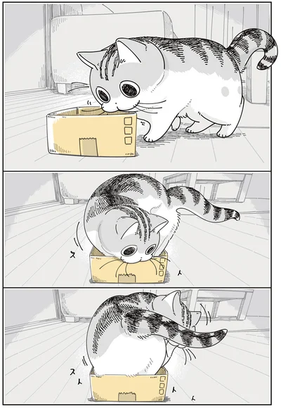 箱に入ろうと