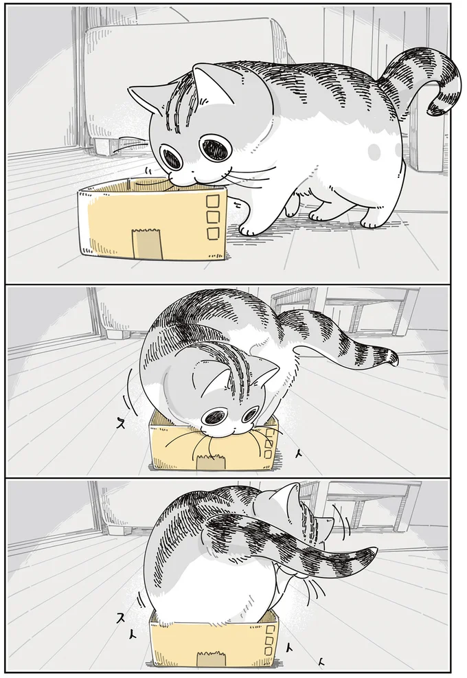 箱に入ろうと