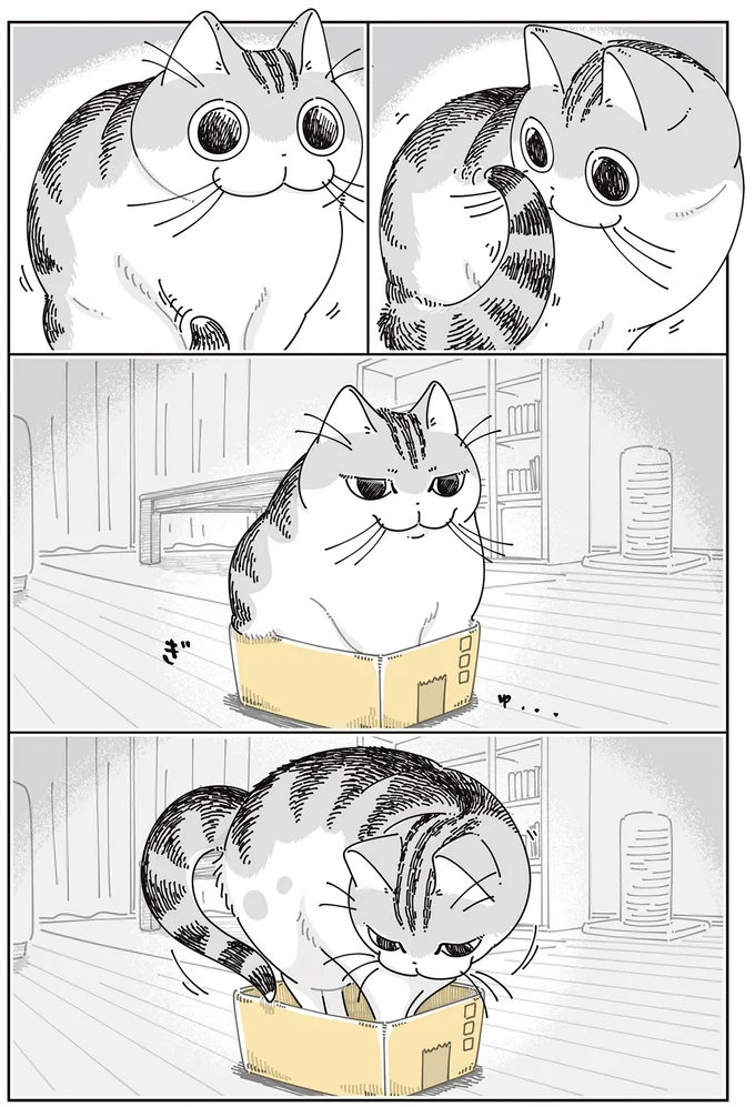 なんか…小さい…?