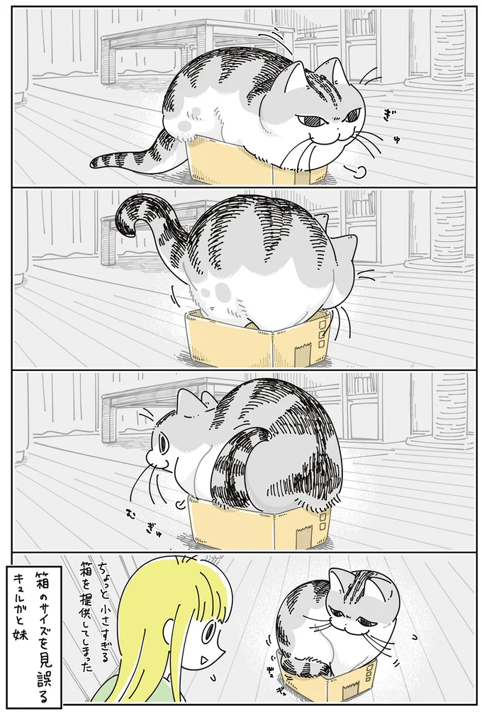 箱のサイズを見誤る