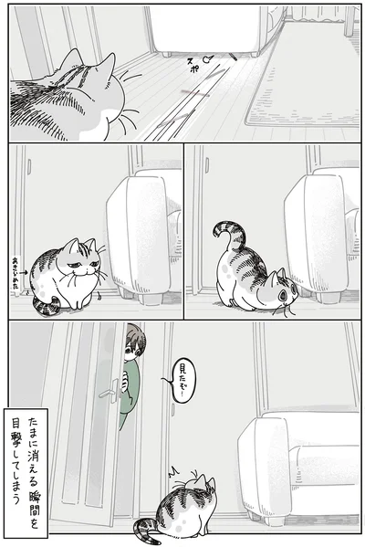 見たぞ…